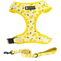 Dog Harness and Leash Set Adjustable Dog Harness Dog Leash No Pull No Choke Puppy Harnesses for Walking Training for Small Medium Large Pet